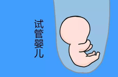 极光生殖